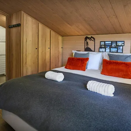 Grand Soir - Ovo Network Chalet